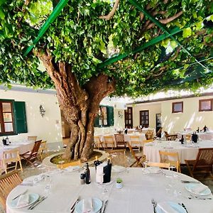Antica Locanda Al Gelso